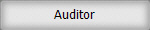 Auditor